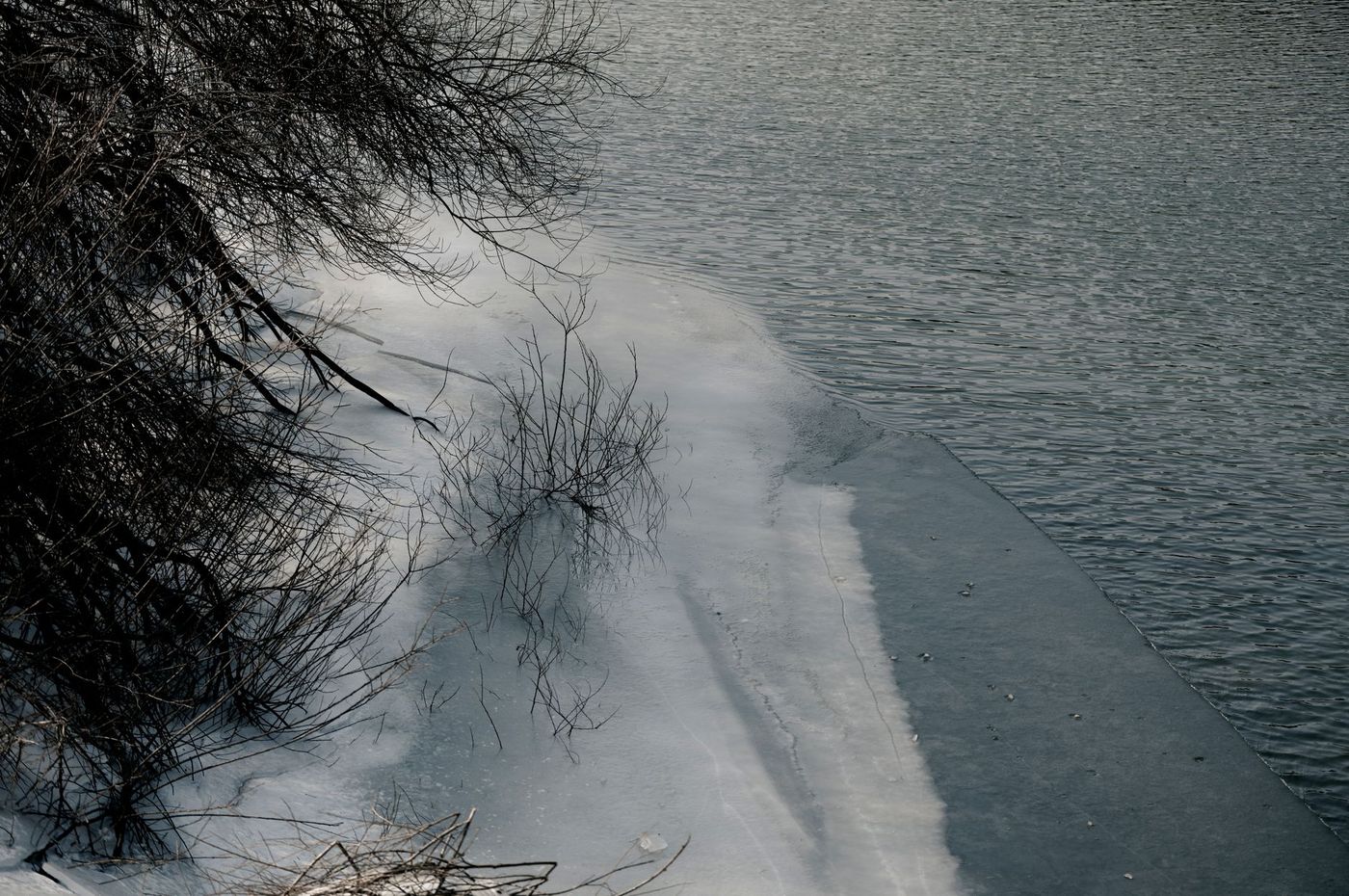 A partially frozen body of water with bare trees and bushes on the snowy bank.
