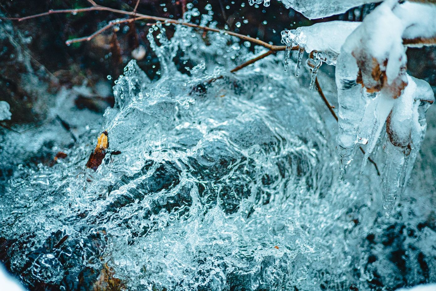 A close-up of splashing water in a stream, with ice and icicles forming on overhanging branches.